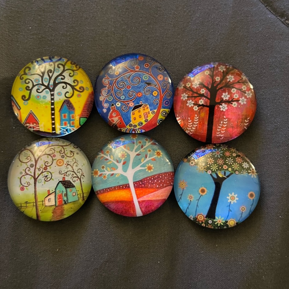A set of new refrigerator magnets